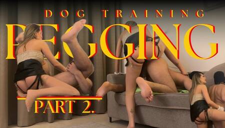 Dog Training Pegging Part 2