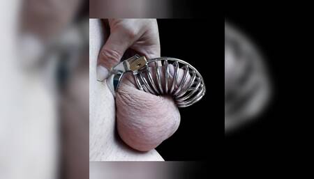 Video clip photo my caged sex