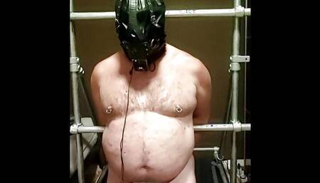 Slave Filos gets electro shocks