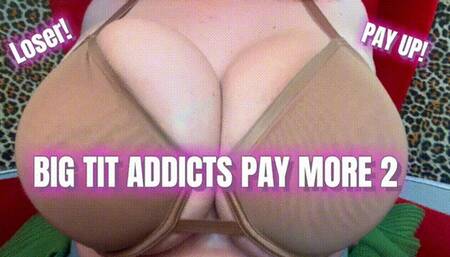 Big Tit Addicts Pay More 2 | Findom Tit Worship MILF MindFuck