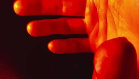 Burning passion to seed