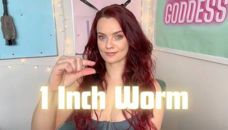 One Inch Worm