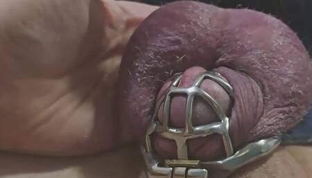 Dick is staying caged till I get rid of your worthless balls