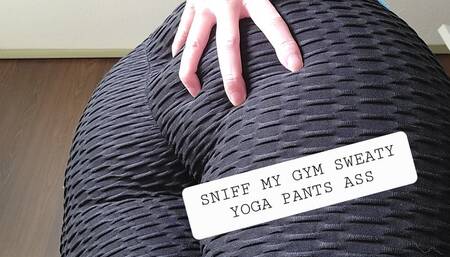 Sniff My Sweaty Gym Yoga Pants Ass