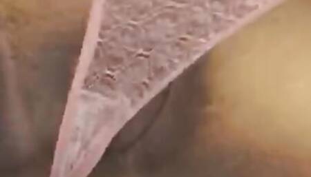 Srilanka Hot And Sexy Wife Hard Fuck Panty and Dildo Show