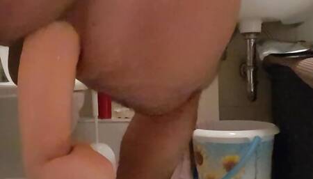 Donkeynutz