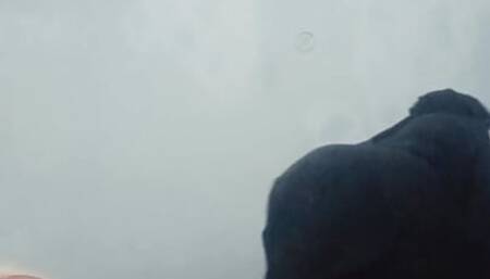 Urvashipatil Rani Kinnar's vlog video goes viral