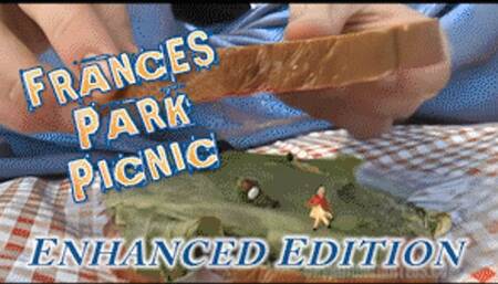 Frances Park Picnic - HD 1080p Version - Enhanced Edition
