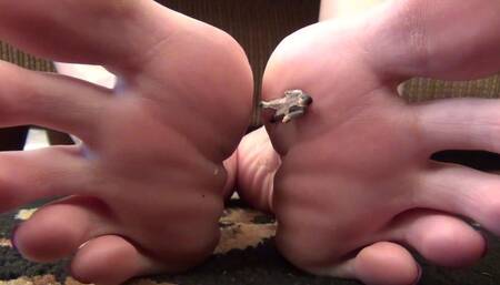 Layla Recieves A Mysterious Package!