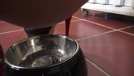 Cage slave has to drink piss after electro punishment!