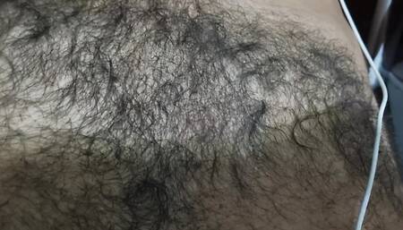 Peludo safado! Pau duro, duro e duro!