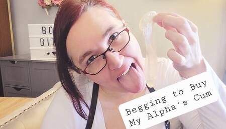 Beg to Buy My Alpha's Cum in a used Condom, you beta cuck