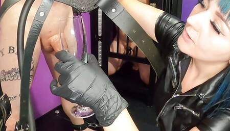 SICK! No one has ever been milked like this!!