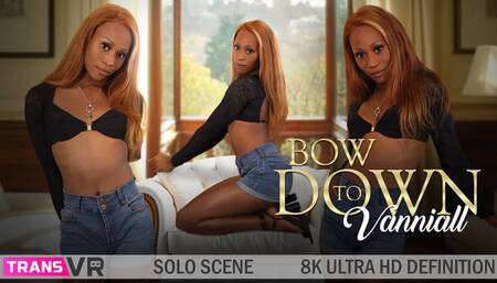 TRANSVR - Vanniall Undeniable Hotness Is Here To Fantasize