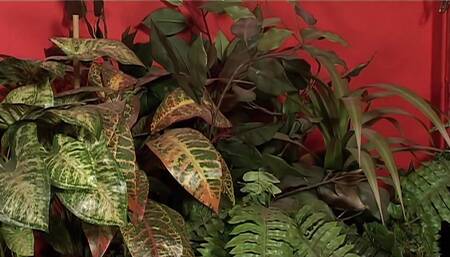 Porn Workroom Part #4 - Fully remastered in HD