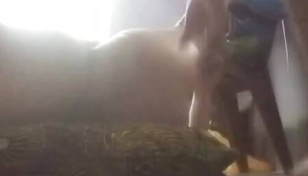 Boobs Local Sex Indian Mature