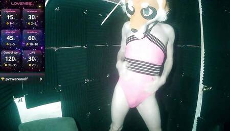 Cute Femboy Foxxo Dances on Webcam