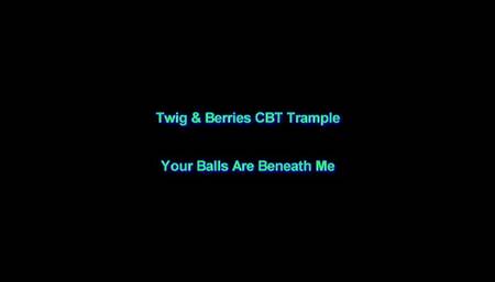 Your Balls Are Beneath Me 2