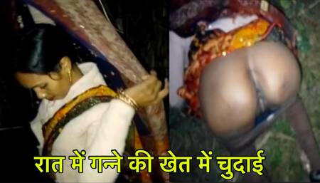 desi bhabhi ko ganne ki khet me rat me chudai kiya
