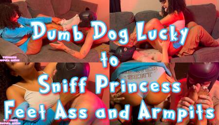 Dumb Dog Lucky to Sniff Princess Feet Ass + Armpits
