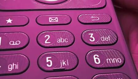 Nicki's Twin Sister?