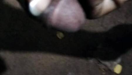 Prosab sex videos