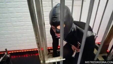 Basic Rules 4 a novice slut - No Puppy Chow Today