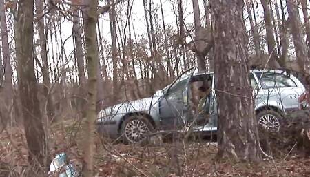 Nataly Lancaster an experienced woman with dark hair gets