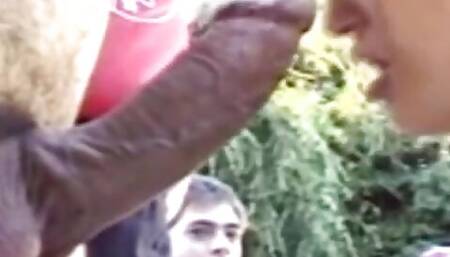 Life and Love With Real Swingers