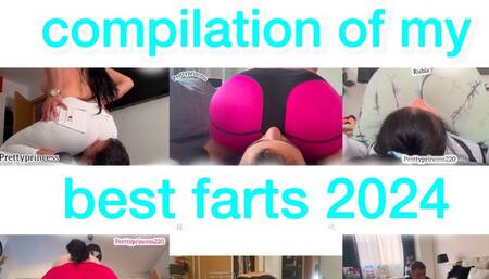 Compilation of my best Facesitting and Facefarting 2024