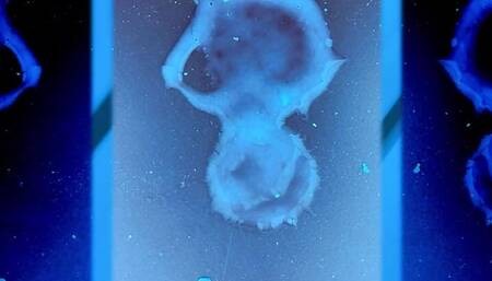 GYM TANNING CABIN CUMSHOTS PART 1