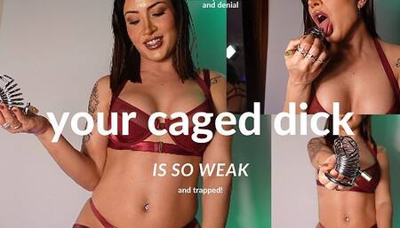 Chastity Tease