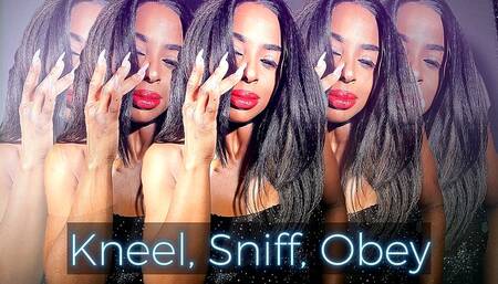 Kneel, Sniff, Obey