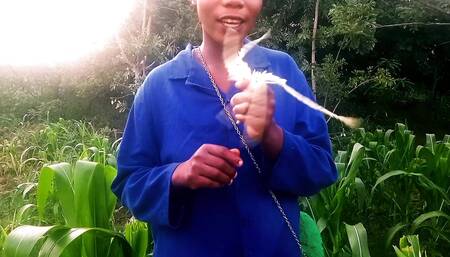 My nice talk on Zambian maize