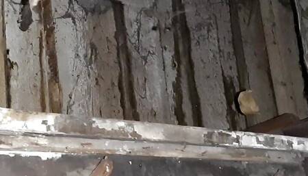 Village girl masturbates hotly in a cold barn