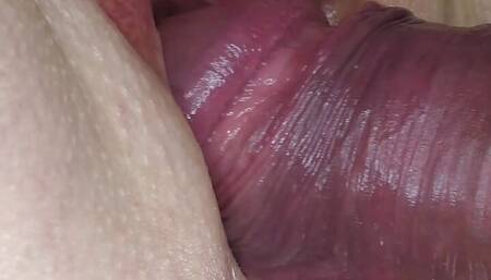 Pornographic close-up of sexual intercourse between man and woman