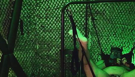 Ruff Pup Electro Session 1 in provate playroom
