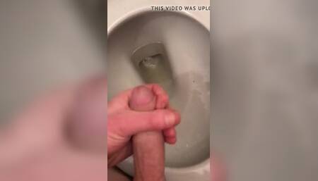 Morning glory public toilet wank