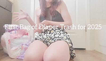 First Bag of Diaper Trash for 2025