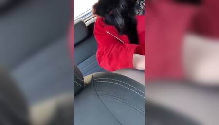 In the Parking Lot