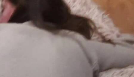 Distracted stepsister from reading