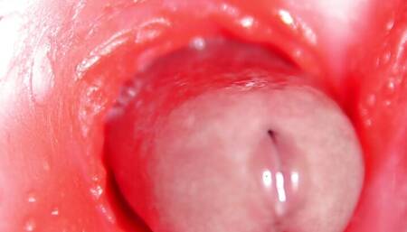 Very close up inside a wet beautiful pussy! Super quality 4K