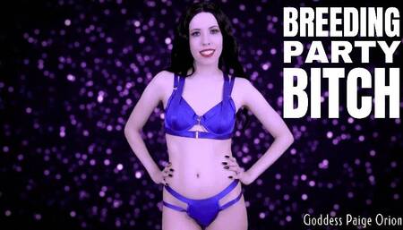 Breeding Party Bitch : 720p