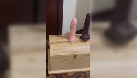 The Dildos In The Box