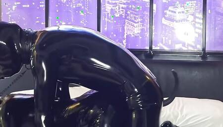 Gloomy's new latex puppy T3, doggystyle fucking - Alex Latex