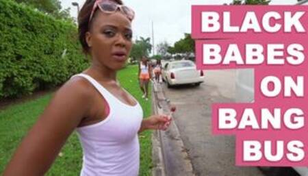 Black Babes On The Bang Bus Featuring Anya Ivy, Amilian Kush, Milu Blaze & More