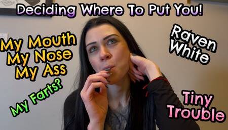 In My Mouth, In My Nose, In My Ass! - Raven White