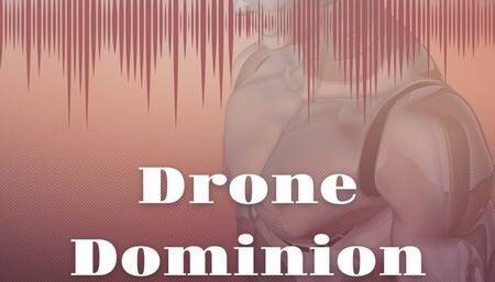 Welcome to the Drone Dominion