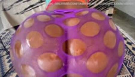 Tabbys Ebony Assss