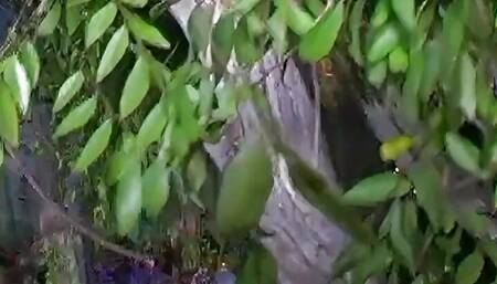 He licked this bitchs pussy very gently but fucked her super nasty asshole very passionately